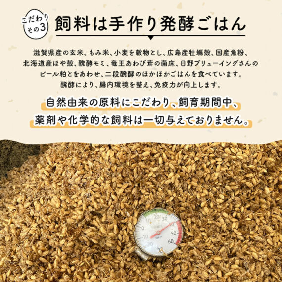 平飼い有精卵 滋賀竜王卵 20〜30個 - 画像 (4)