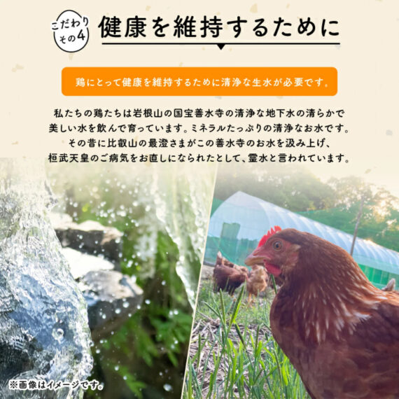 平飼い有精卵 滋賀竜王卵 20〜30個 - 画像 (5)